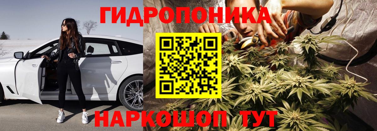 Канабис индика Коммунар